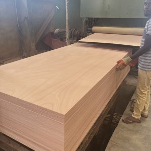 GABON OKOUME PLYWOOD-xingerwood-Linyi