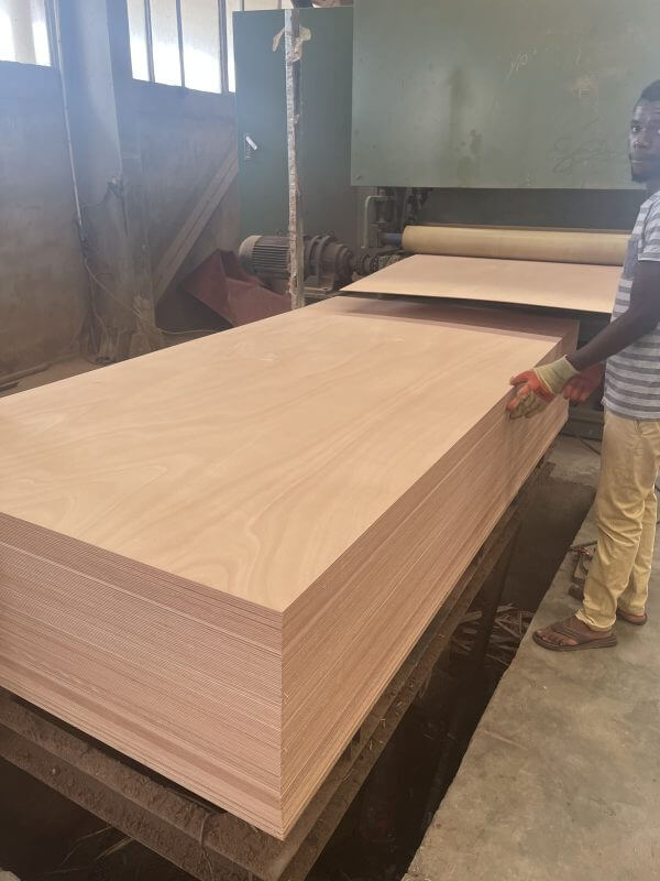 GABON OKOUME PLYWOOD-xingerwood-Linyi