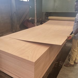 GABON OKOUME PLYWOOD-xingerwood