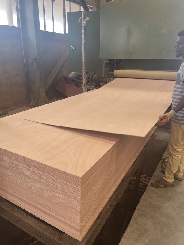 GABON OKOUME PLYWOOD-xingerwood